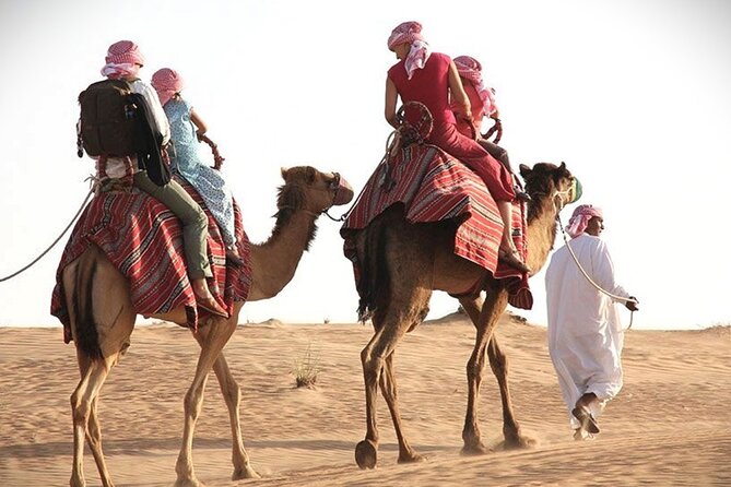 Qatar Sunset Desert Safari: Dune Bashing & Golden Sands Adventure - The camel camp: short, traditional, and extra-cost