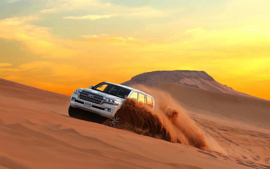 Quad Bike/Buggy, Desert Safari, Camel Ride, Dune Bashing - Sealine Beach: A Useful Break From the Sand