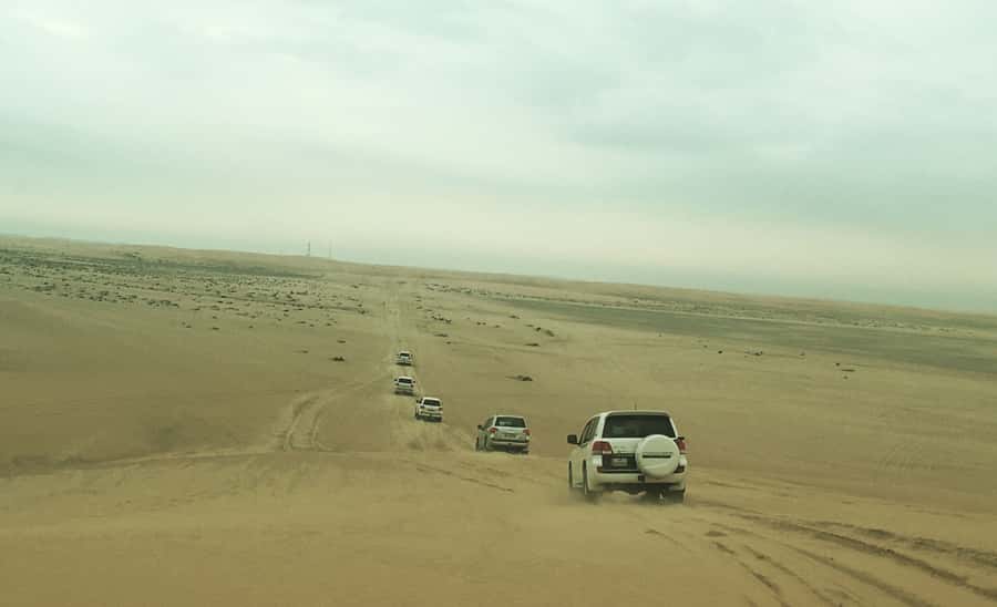 Relax Desert Safari, Sand Dune Bashing (Private Safari) - Why this Qatar desert safari works