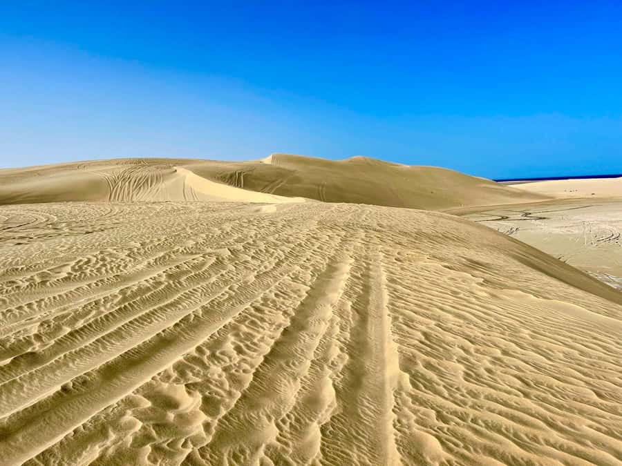 Relax Desert Safari, Sand Dune Bashing (Private Safari) - Sandboarding and the Inland Sea