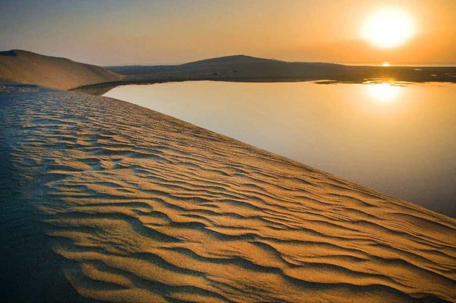 Relax Desert Safari, Sand Dune Bashing (Private Safari) - From Doha to Sealine Beach