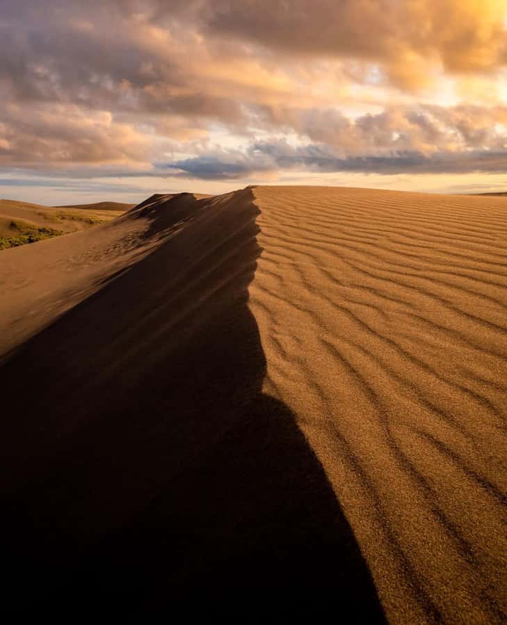 Relax Inland Sea Tour, Desert Safari, Camel Ride, SandBoard - Dune bashing in a 4WD Land Cruiser