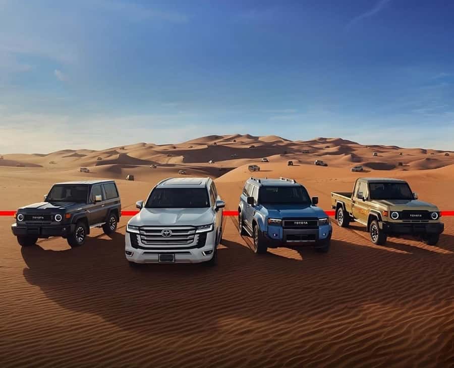Relax Inland Sea Tour, Desert Safari, Camel Ride, SandBoard - A short camel ride and the slower side of the desert