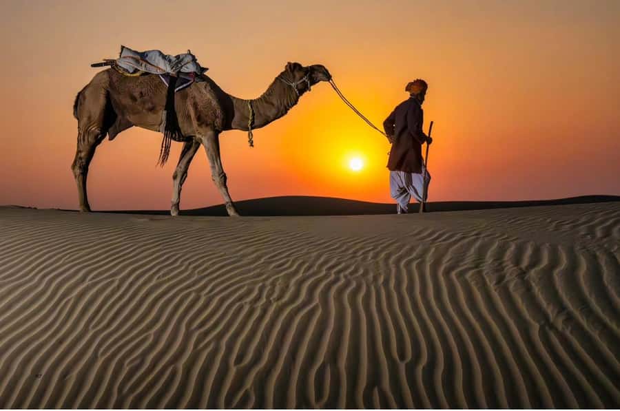 Relax Inland Sea Tour, Desert Safari, Camel Ride, SandBoard - Why the red dunes make good photo stops