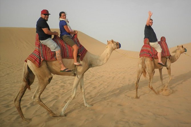 Sharing or Private Safari, Sand Boarding, Camel Ride, inland Sea Quick swim - From Doha to Mesaieed, the city gives way to sand
