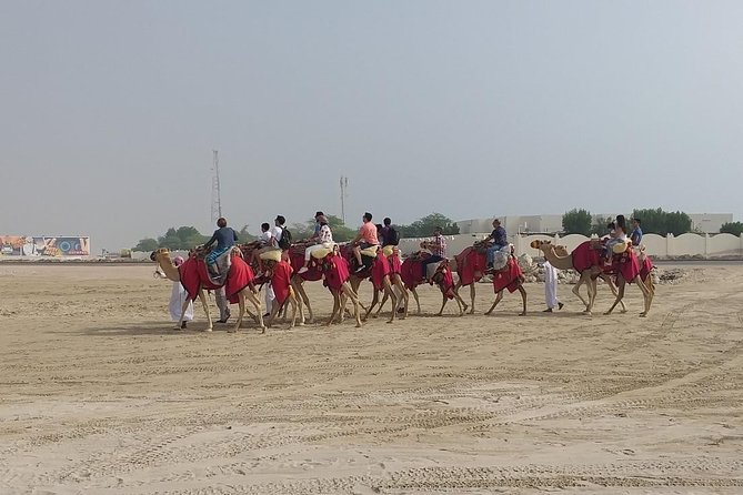 Sharing or Private Safari, Sand Boarding, Camel Ride, inland Sea Quick swim - Is $55 good value for a Doha desert safari?
