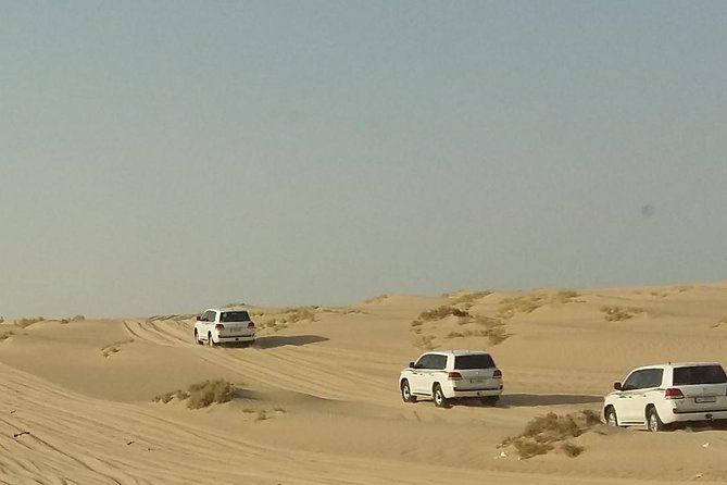 Sharing or Private Safari, Sand Boarding, Camel Ride, inland Sea Quick swim - Sealine Beach brings the first real desert action