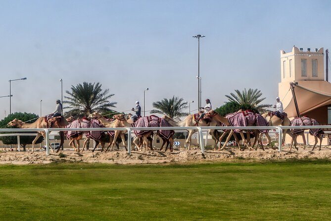 Sheikh Faisal, Camel Race Track visit - Why this four-hour outing is different