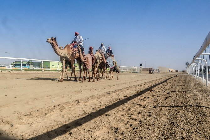 Sheikh Faisal, Camel Race Track visit - The driver-guide and private vehicle
