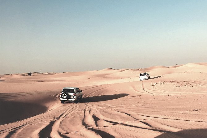 Sunrise Desert Safari in Qatar: An Unforgettable Adventure - The camel ride and photo stop