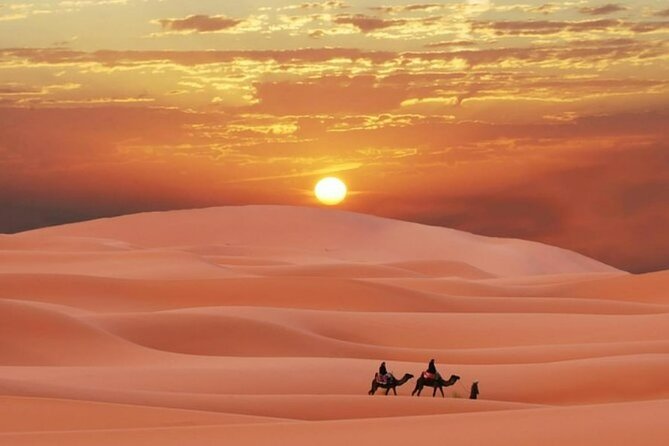 Sunrise or Sunset , Desert Safari Tour in Heart of Qatar - Key points to know before you book