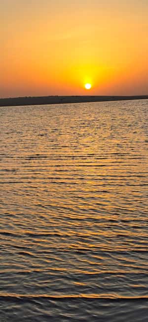 Sunrise or Sunset desert Safari with Sandboarding in Qatar - Key points at a glance
