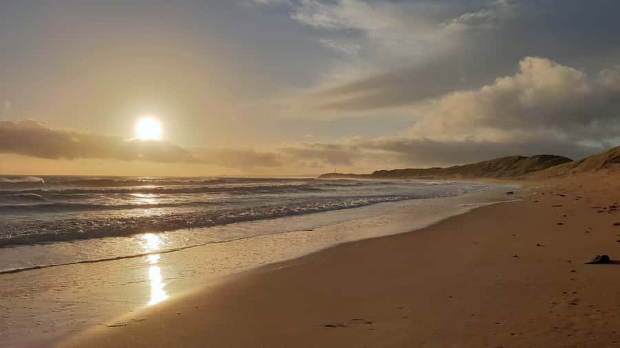 Sunrise : Privare Dune Bashing, Camel Ride & Sandboarding - Why This Sunrise Safari Works So Well