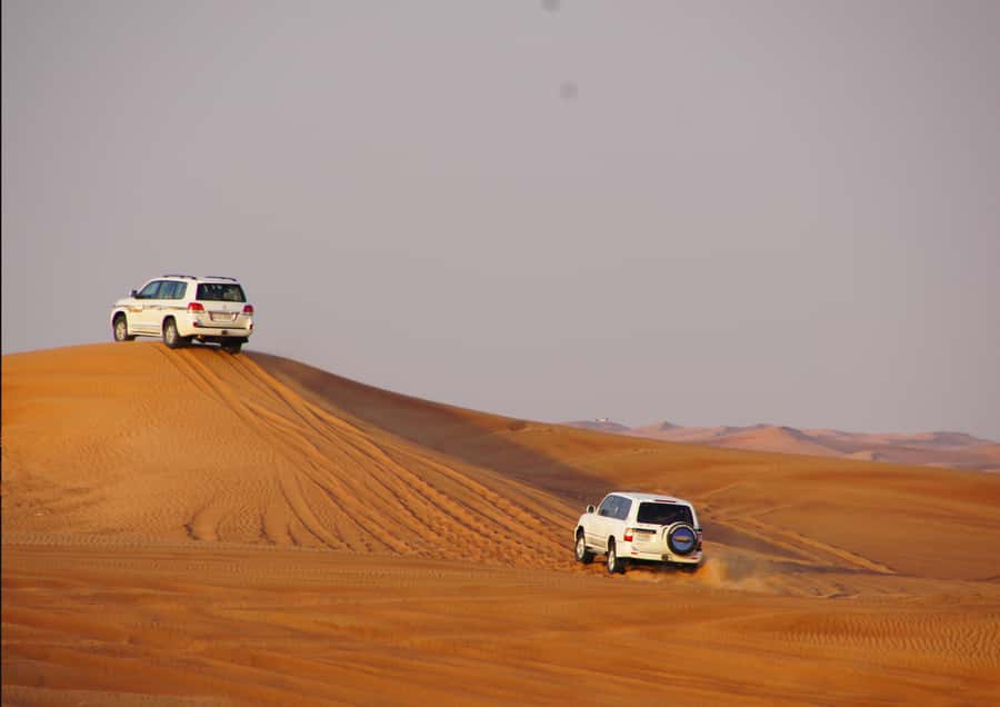 Sunrise : Privare Dune Bashing, Camel Ride & Sandboarding - Sandboarding Down the Golden Slopes