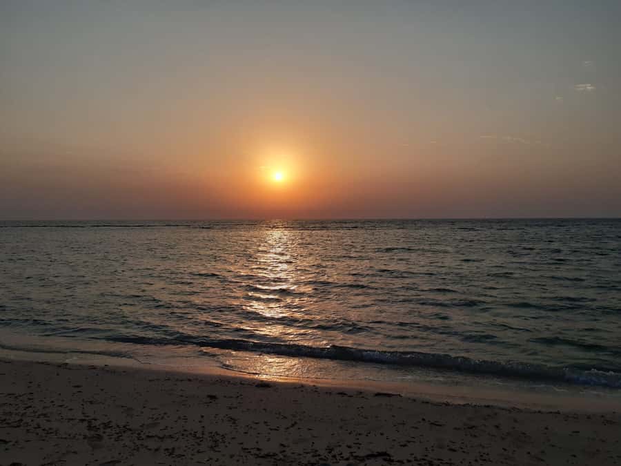 Sunrise : Privare Dune Bashing, Camel Ride & Sandboarding - The Inland Sea and Its Quiet Beach
