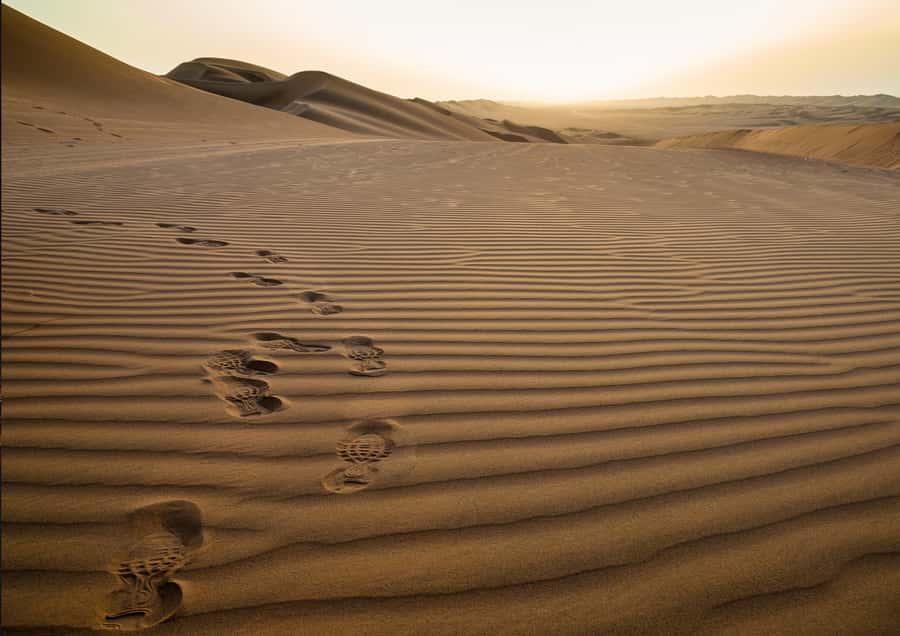 Sunrise : Privare Dune Bashing, Camel Ride & Sandboarding - A Short Camel Ride at Sealine Beach Resort