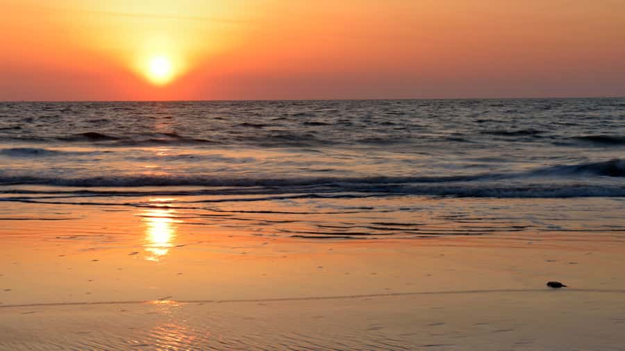 Sunrise : Privare Dune Bashing, Camel Ride & Sandboarding - Is $30 a Good Value?