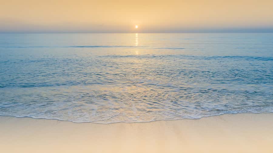 Sunrise : Privare Dune Bashing, Camel Ride & Sandboarding - Who Should Book This Experience?