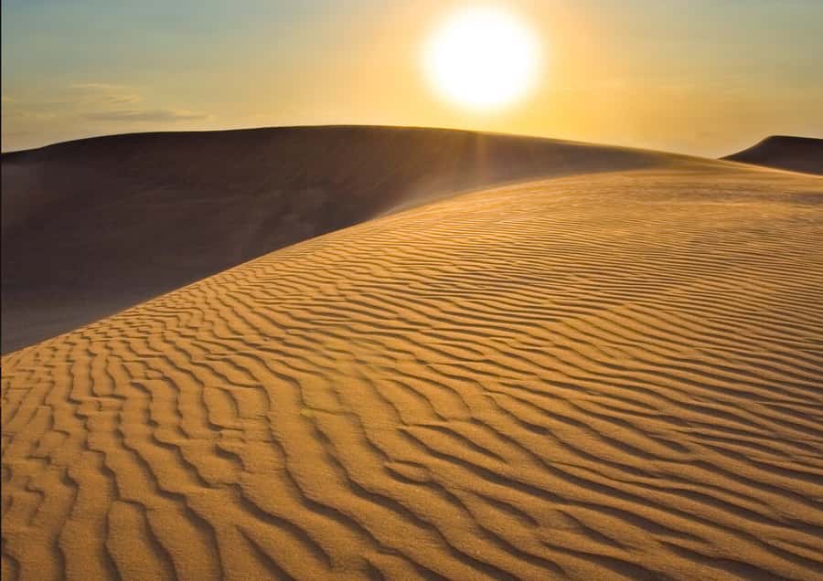 Sunrise : Privare Dune Bashing, Camel Ride & Sandboarding - Booking Details That Matter