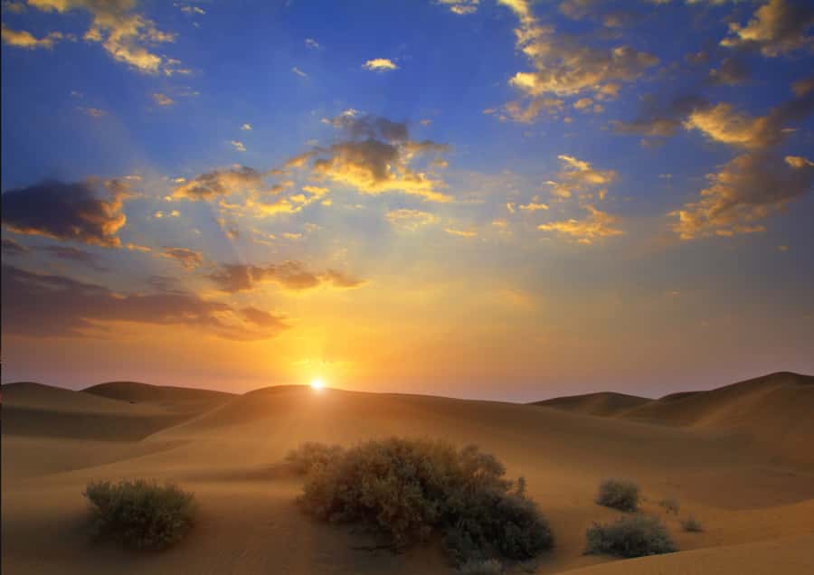 Sunrise : Privare Dune Bashing, Camel Ride & Sandboarding - The 4x4 Ride Across Qatar’s Dunes