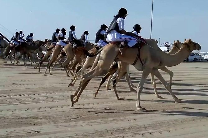 Sunset Keshta at Zekreet | Art, Adventure & Arabian Picnic - Key points to know before booking