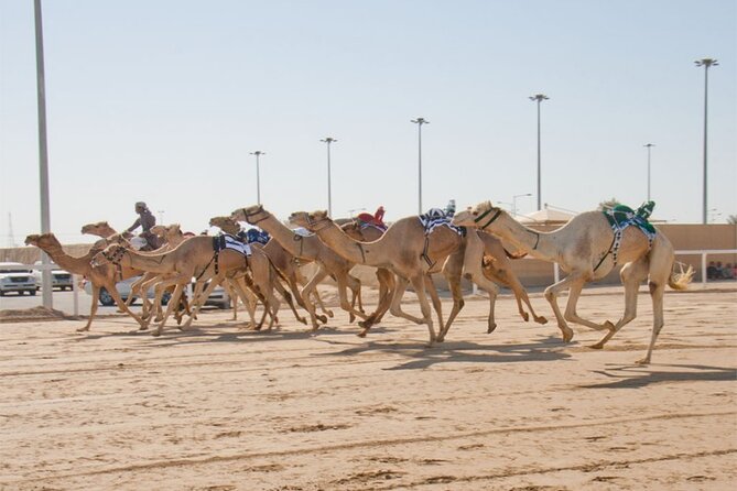 Sunset Keshta at Zekreet | Art, Adventure & Arabian Picnic - What Keshta adds to the outing