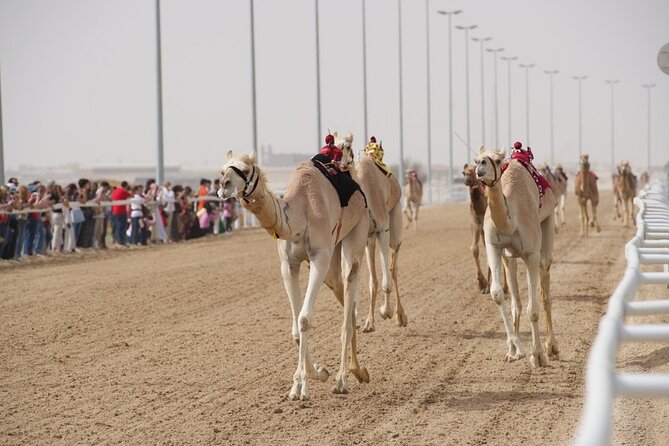 Sunset Keshta at Zekreet | Art, Adventure & Arabian Picnic - Final call: book it for the setting and the pause