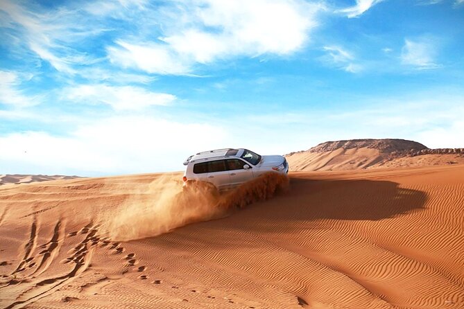 Thrilling 4-Hour Dune Bashing & Camel Ride Safari to Inland Sea - Why this four-hour desert trip works