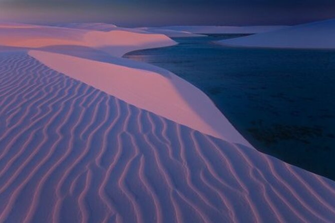 Thrilling 4-Hour Dune Bashing & Camel Ride Safari to Inland Sea - What the guide and group setup mean for you