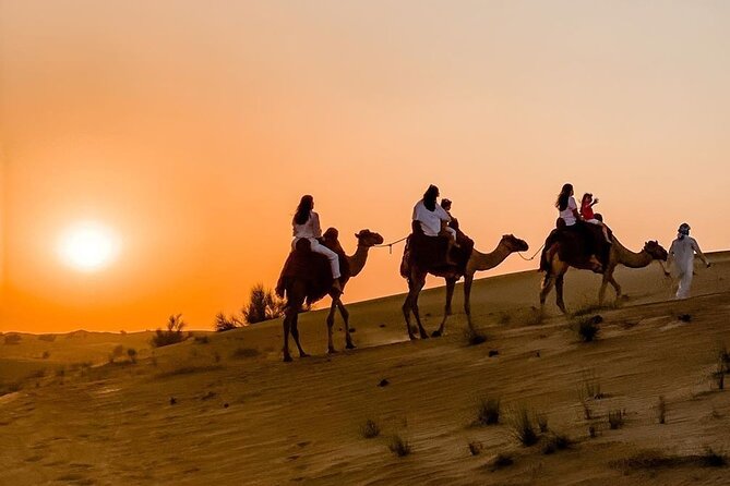 Thrilling 4-Hour Dune Bashing & Camel Ride Safari to Inland Sea - Pickup from Doha and the road to Sealine Beach