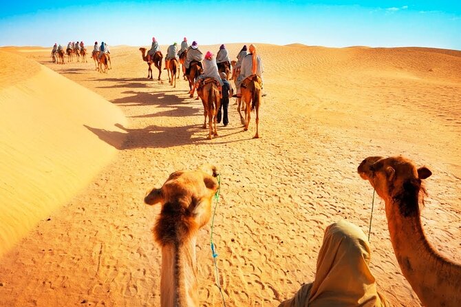 Tranquil Sands A Serene Desert Safari Experience - Who will enjoy this four-hour desert trip?