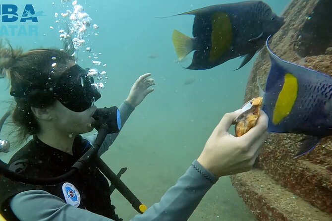Try Scuba dive in Qatar - Starting at Sealine Beach, Mesaieed