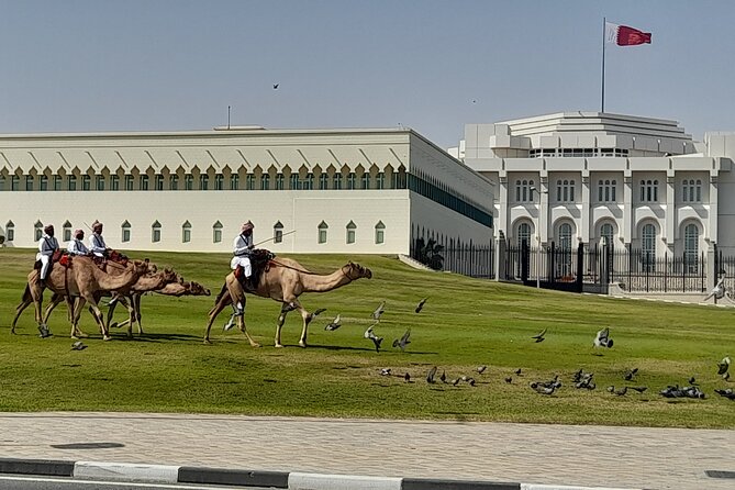 Walking Tour: Discover Souq Waqif, An Almost Free Walking Tour - Falcon market: a close look at Qatari tradition