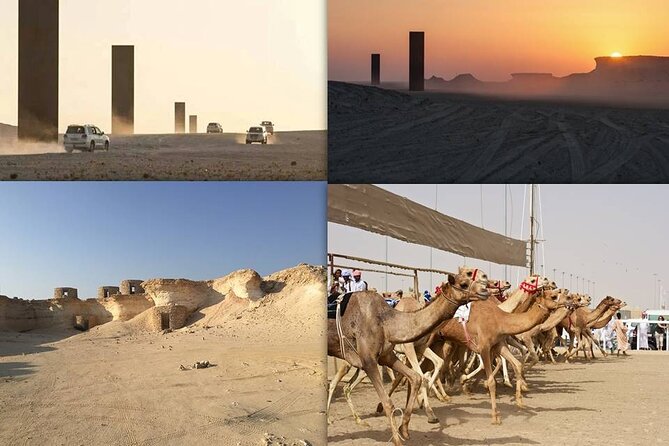 West Coast and Camel Race Track Visit - Key points before you book