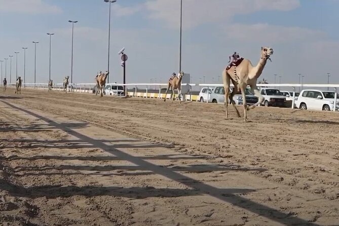 West Of Qatar, Mushroom Rocks, Camel Racing Track, Richard Serra - Who will enjoy this western Qatar outing?