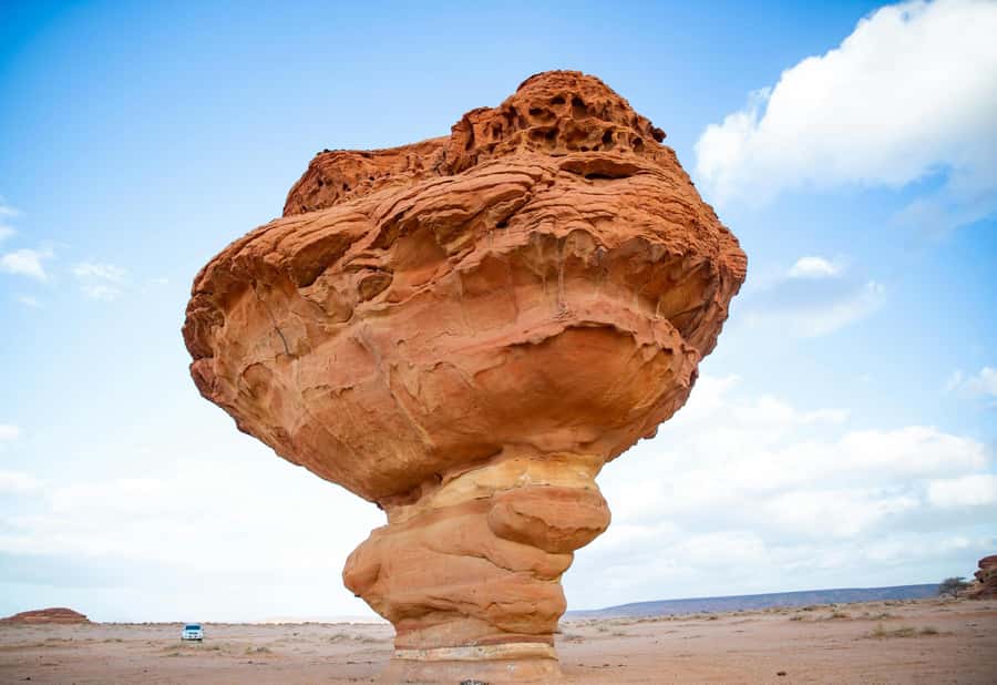West of Qatar Richard Serra, Mushroom Hills, CamelRace track - Key points at a glance