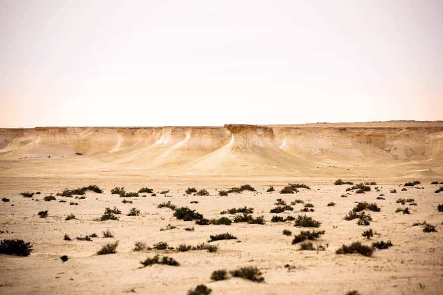 West of Qatar Richard Serra, Mushroom Hills, CamelRace track - Zekreet’s fort ruins and a quick history lesson