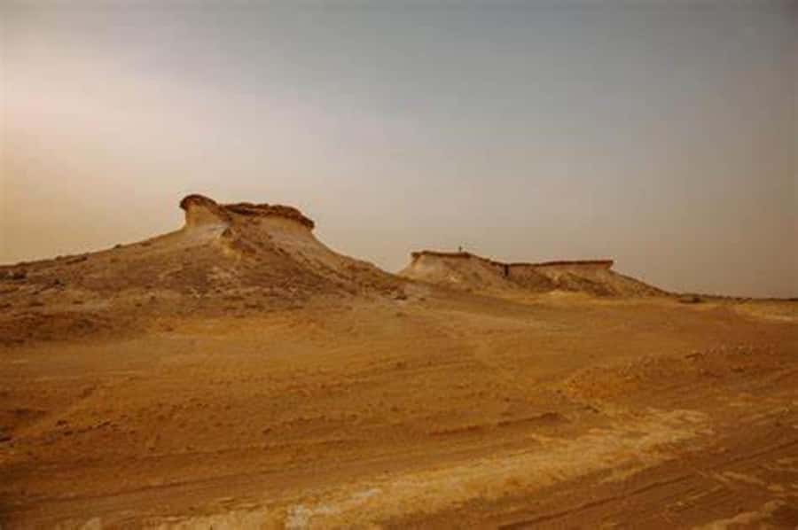 West Qatar-Doha Richard sierra,camel race,mushroom rock - Who will enjoy this tour most